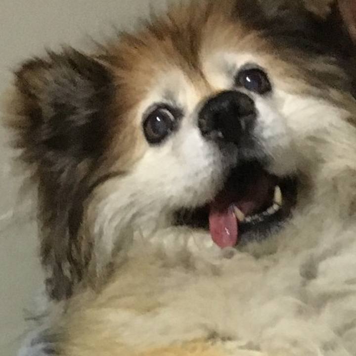 A8cd2ec0 a223 4e55 8844 5af90289420d 1603656757511