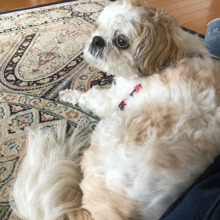 A8cd92f2 1a05 44e4 87f0 108578fe85bf 1618869209802