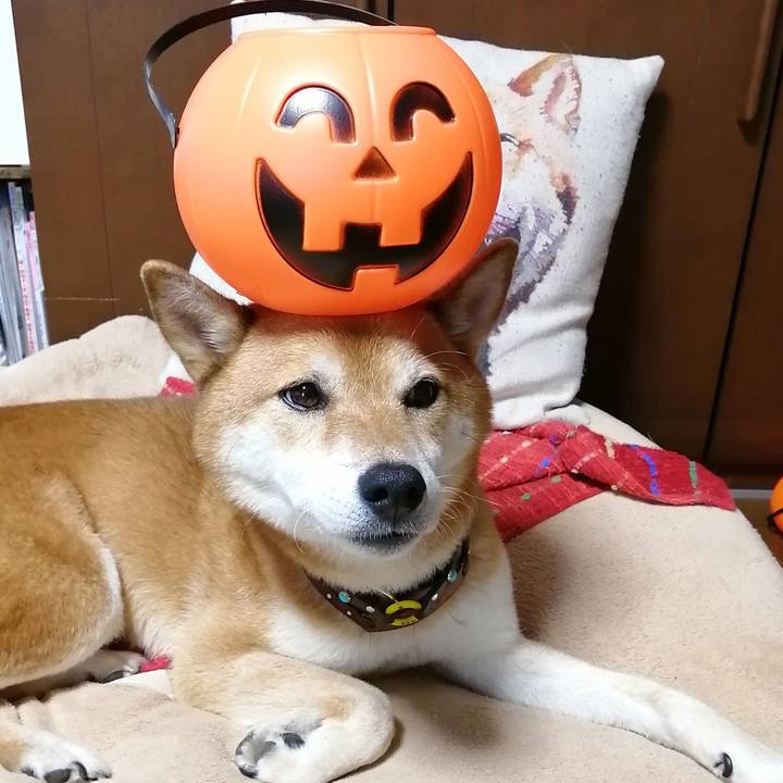 A8cdd962 1d8d 4550 a5c7 0ebd01a50a23 1632557440382