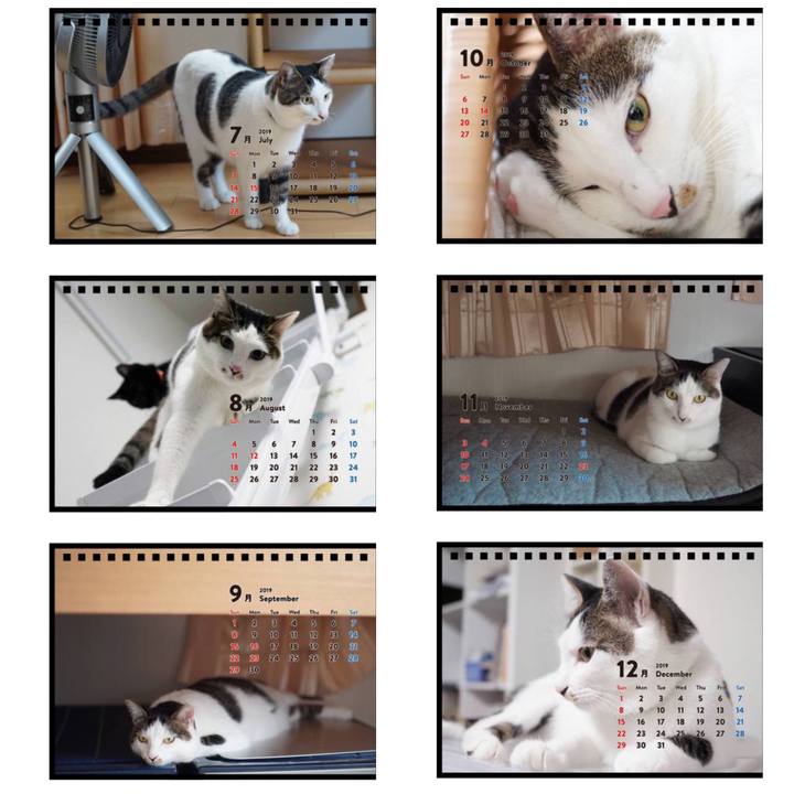 A8cdfcc0 b7c4 416e 8f56 9b8d2ddb8083 1540637250095