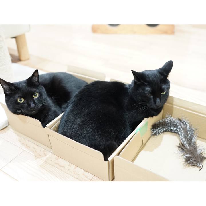 A8ce9a00 a7e4 4027 804a 079ce64f74e3 1560125967803