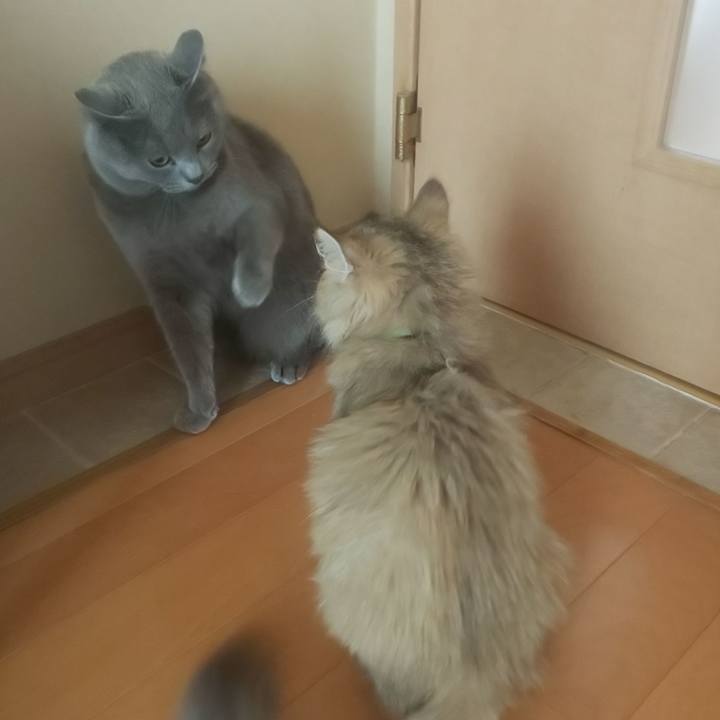 A8cead1a 03f9 4193 a286 8220c4bb2adc 1559008296463