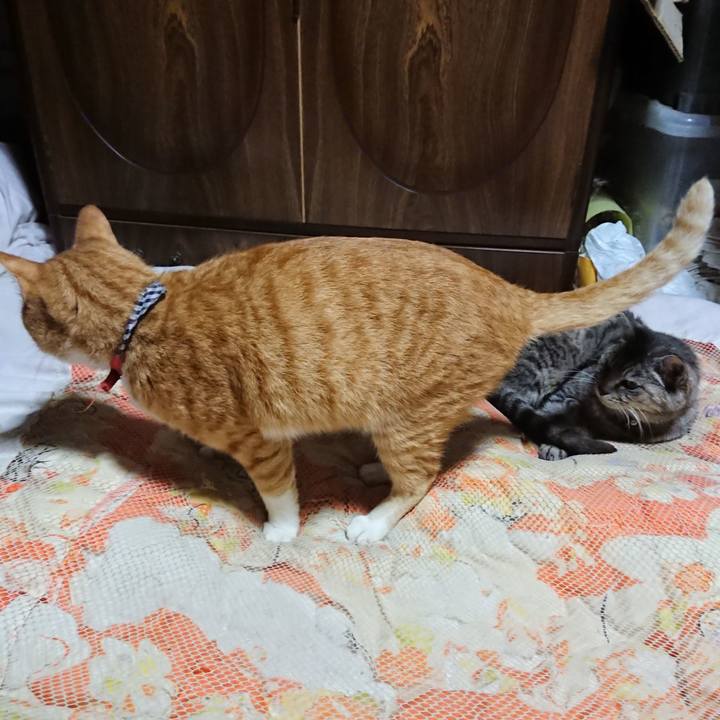 A8ceb4f5 bd22 4b3b 9070 87139b505df1 1571489036335