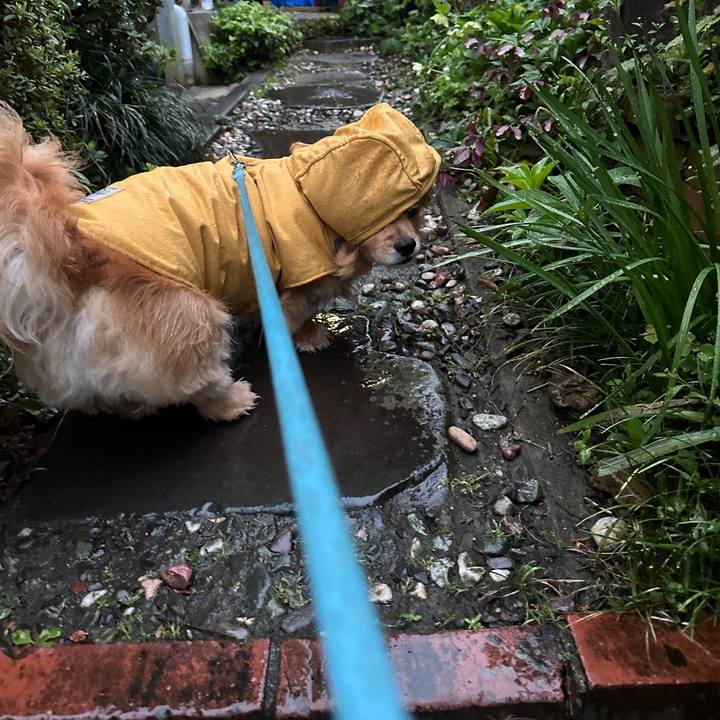 A8cf0546 d077 44c6 be3f 73a9b1f1a850 1680728465801