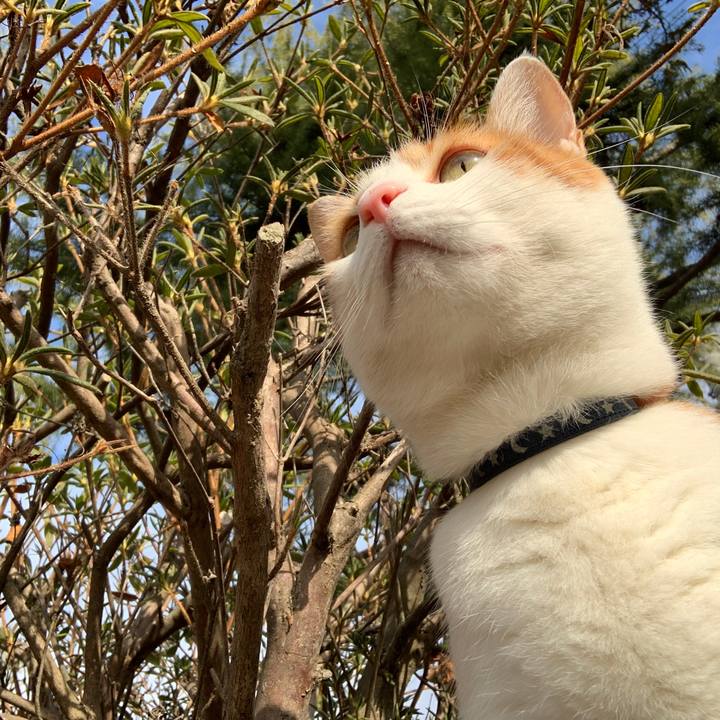 A8cf11b8 e234 4e22 b2bf ee9d990eafc3 1578975100502