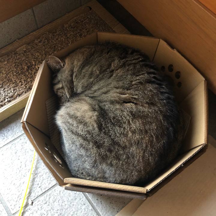 A8cf2e31 daa7 422c bb91 c3c19d669ac8 1586522682990