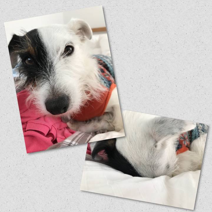 A8cf900b a25a 453a 8300 20053b4819d9 1508455308524