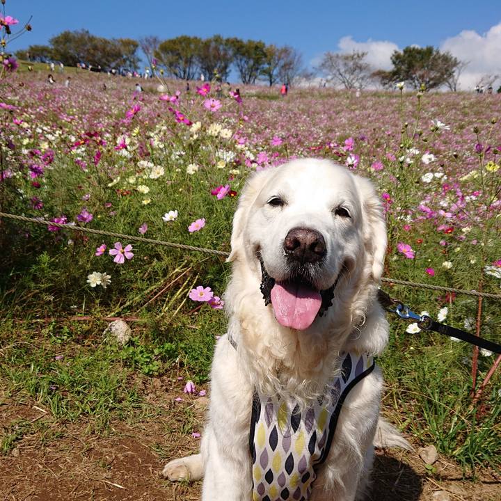 A8cf9cda 817c 4063 a881 99909ff39af8 1571737798476