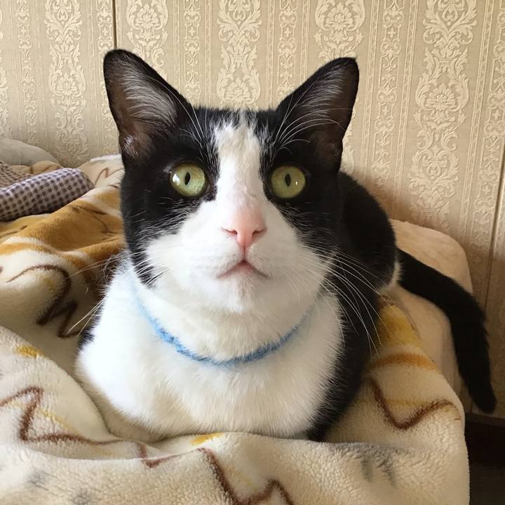 A8cf9d6d 06c5 4c75 b9ba f11bc0e51bfe 1747213376271