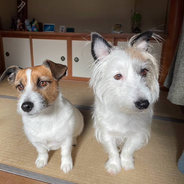 A8cfb384 c015 4455 8342 ee15286e9f80 1709598041313