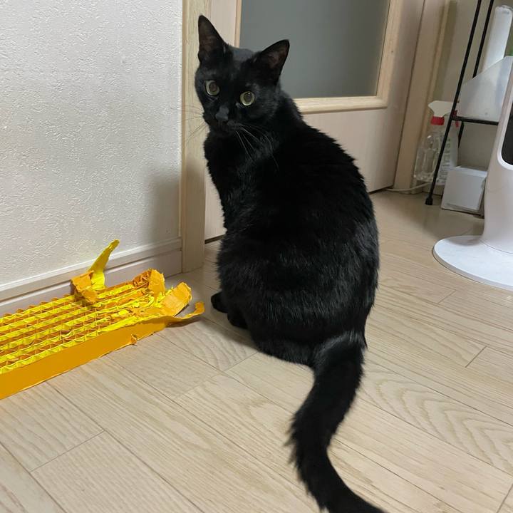 A8cfc0e8 9221 4e91 9987 9365d3ac341d 1748703549821