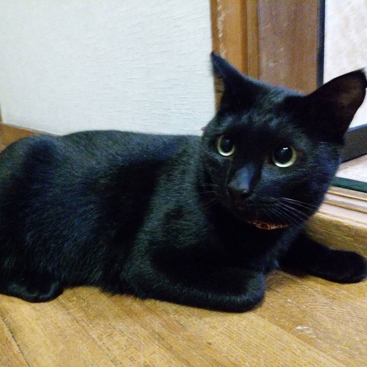 A8cff511 831c 4810 b817 ccad26e252b9 1574410561735