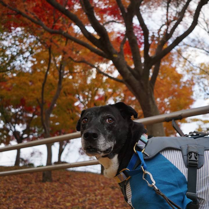 A8d015d0 6e5e 4fda ab09 08afd88526b0 1764638299802