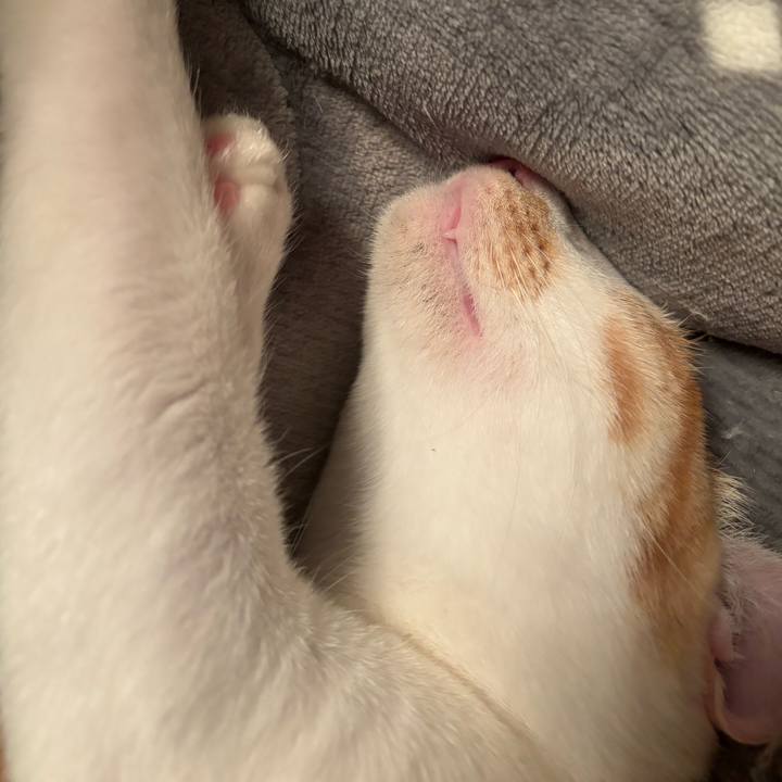 A8d02d37 3057 4dff ba1e 5c65e9607227 1708167490976