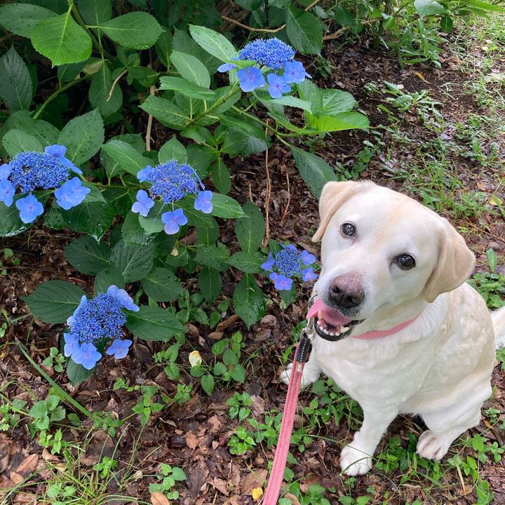 A8d0577b 8337 4d8d a3e7 bd707b526c99 1750922151962