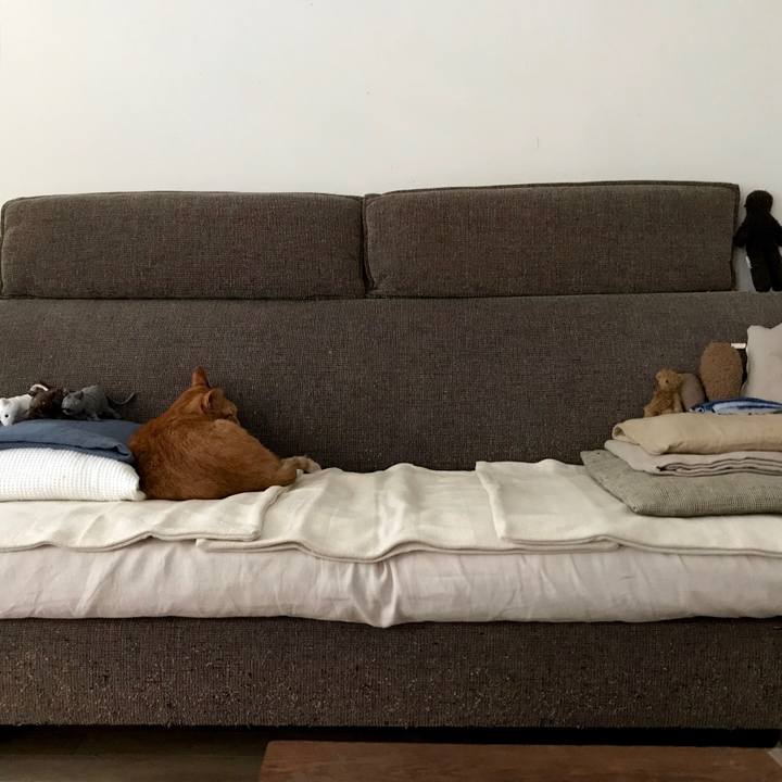 A8d0c80e 6db4 4ef0 b3e8 2d7a369cf875 1535773778656