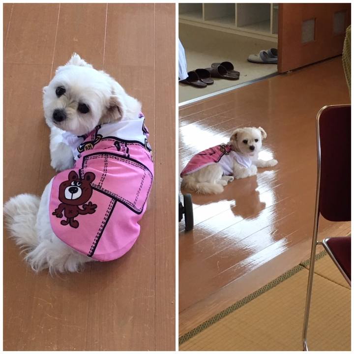 A8d0f0e4 da1a 4ad8 afd7 929763c786f1 1558334723966