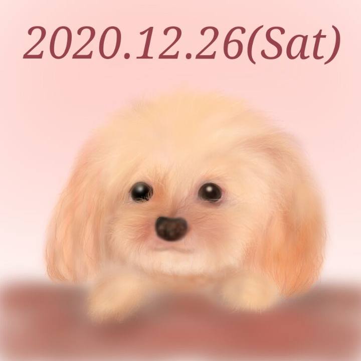 A8d14152 04ff 4c38 a957 fe0abedfb1aa 1608983896167