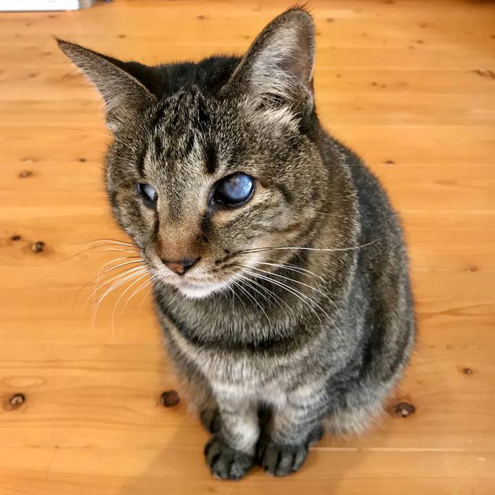 A8d14769 3cc7 4743 b7f7 a985723535de 1589543920630