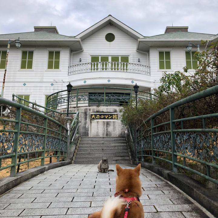 A8d18f2f 43b6 4630 94be 4f563f4cf36f 1543387870400