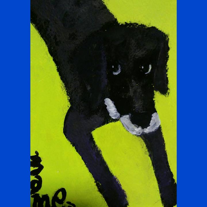 A8d19496 222f 4db0 b9ee 7564c1e4a231 1526908109871