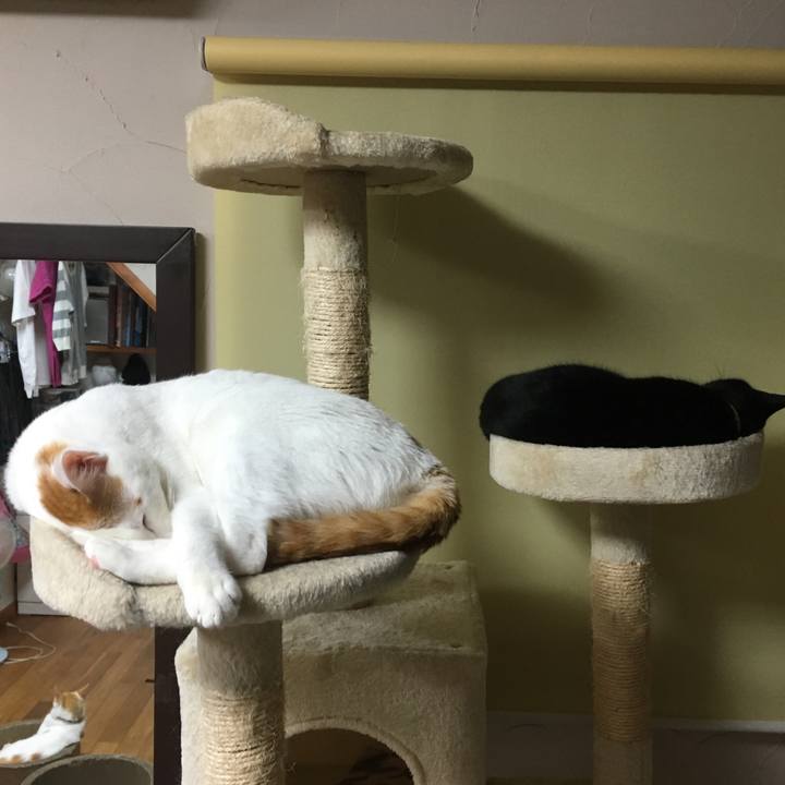 A8d20e1d d670 42ef be29 1ddfd2f22715 1528812759763