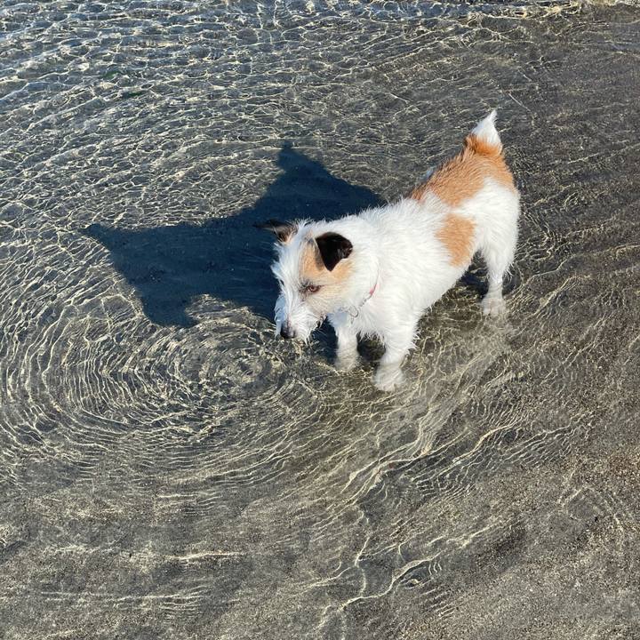 A8d21f60 3af0 4cef bb3c fff26c20b910 1618529510167