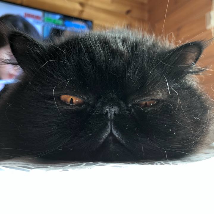 A8d23a08 ed0a 4776 bd57 ba683f8fc9a9 1547999914291