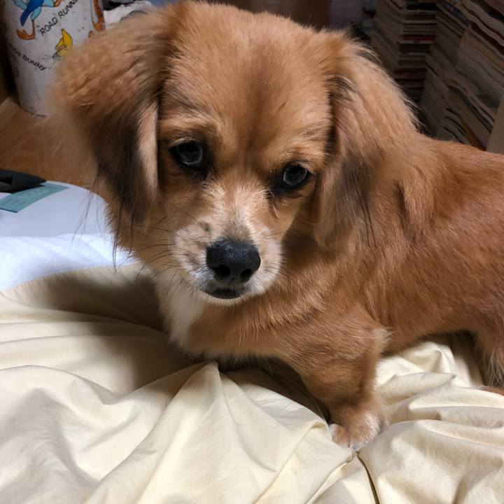 A8d24c02 306d 46f4 8168 37c617a0d55e 1508629470587