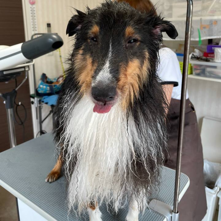 A8d25302 aab9 417b 8e0c 12969474939e 1631327734642