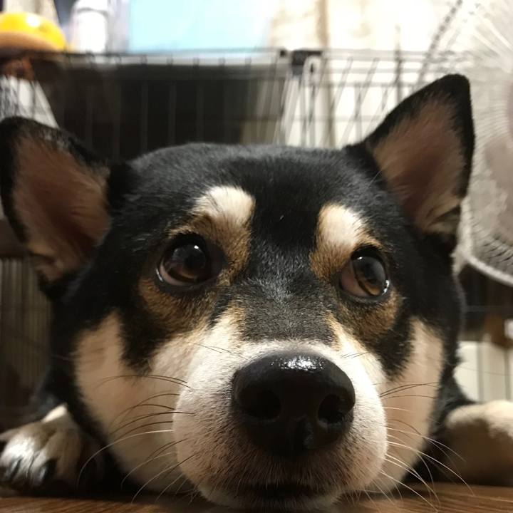 A8d28280 61e6 4688 9d5b af6fd9056a9e 1509892155761