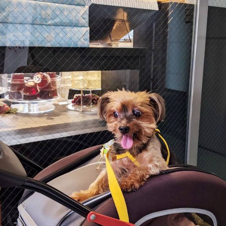 A8d2e96b 3e1a 415a a857 b2e04abb4771 1633513362632