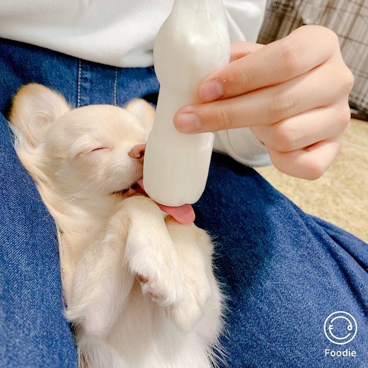 A8d328f6 1f76 42e2 a03c c146e073c679 1600848950414