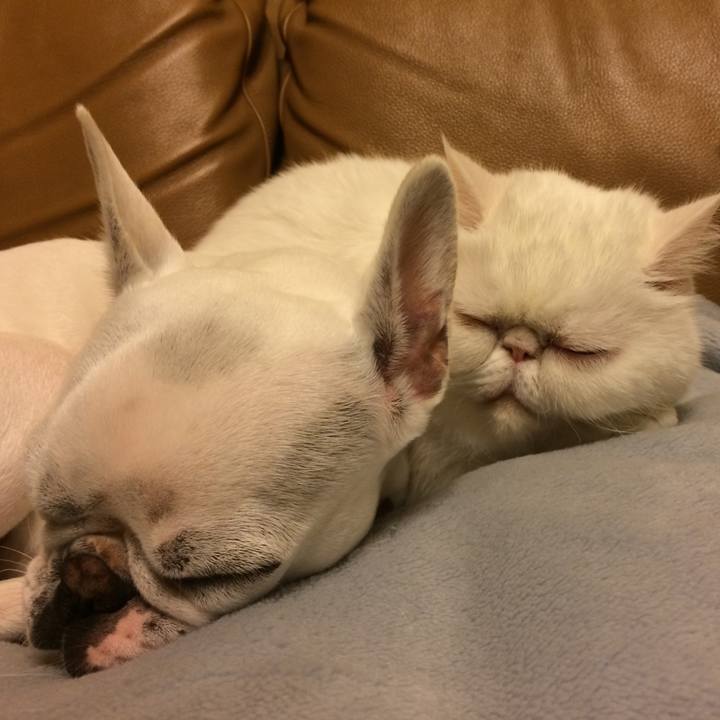 A8d35d68 70fd 4453 88d9 ba43cd533c70 1597589288518