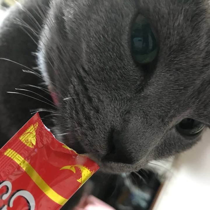 A8d37775 59cf 41b0 b7a6 ccb199ca595f 1508075068064