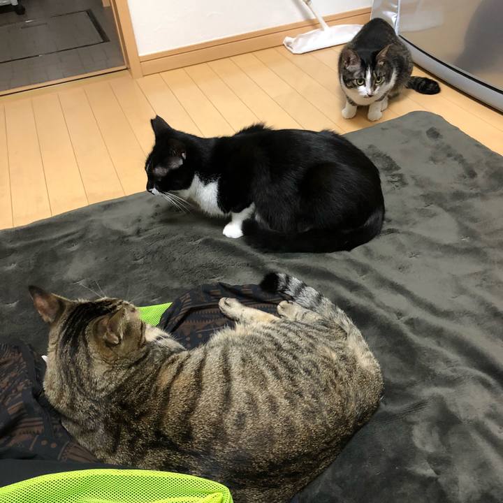 A8d38131 618b 4979 b69b 3dc087f7d0a2 1541049930411