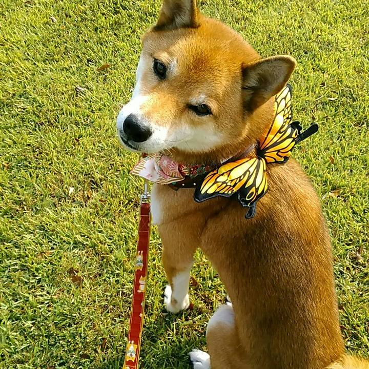 A8d3bae9 b5fe 474b 891f 45a767d1dd1f 1538525301201