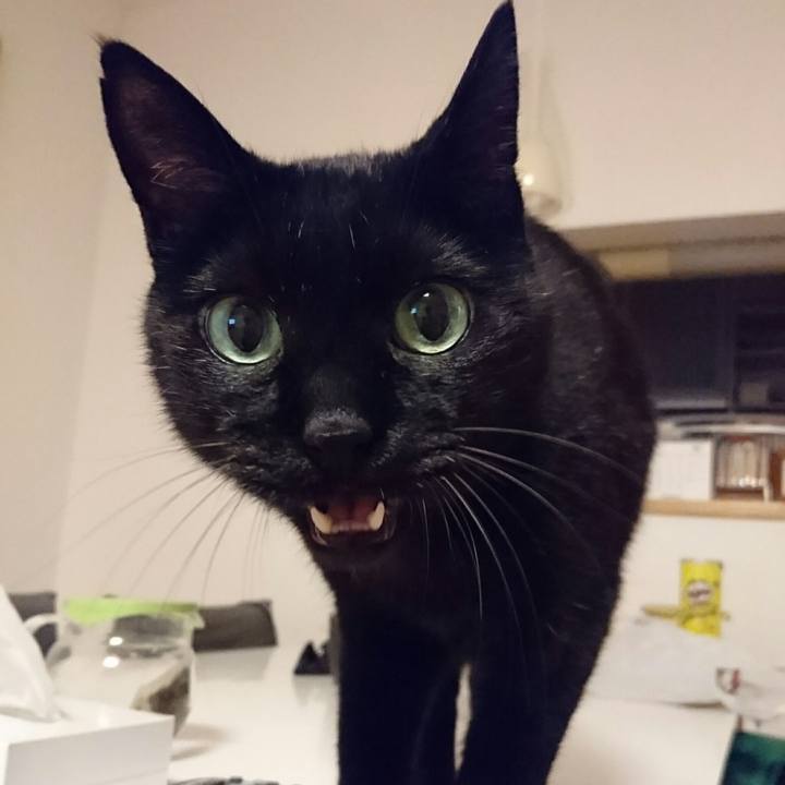 A8d3c0e4 177c 4e1b af8a 156bf70618aa 1509972723138