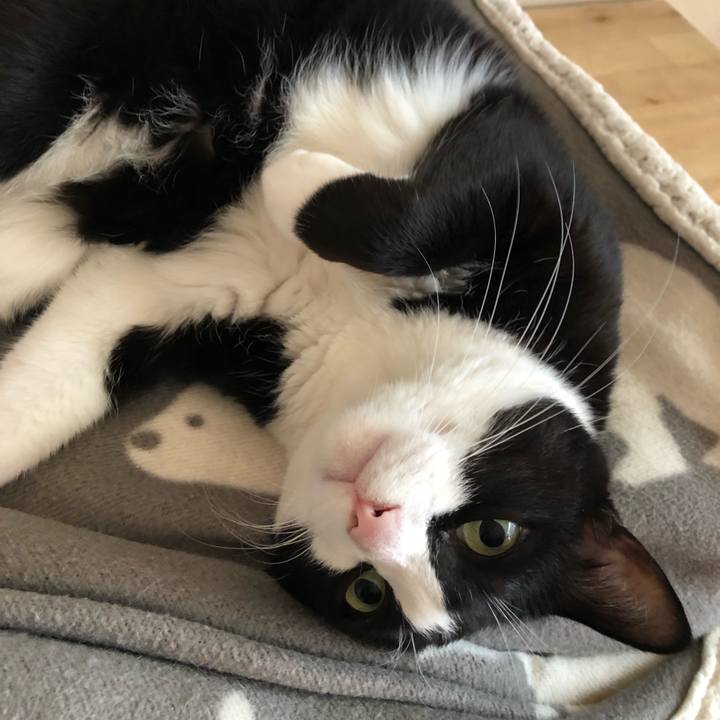 A8d3d0d9 d00f 4f85 a23e 020fdbca4080 1541341248603