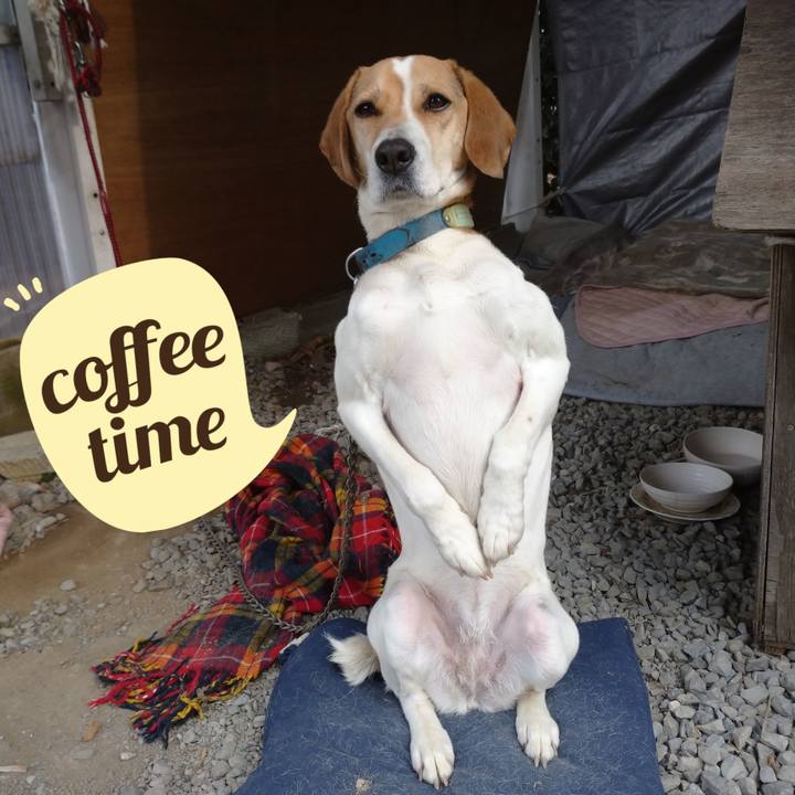 A8d3e5bc 04ae 4a5a b15d 3e9315bab60e 1615182017544