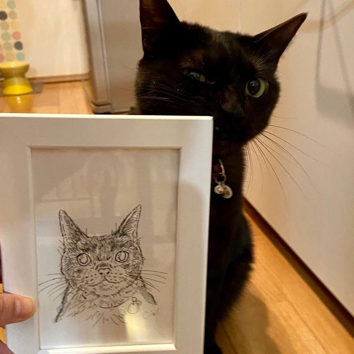 A8d40a22 6ed5 4285 8d98 958949a92d97 1650193222463