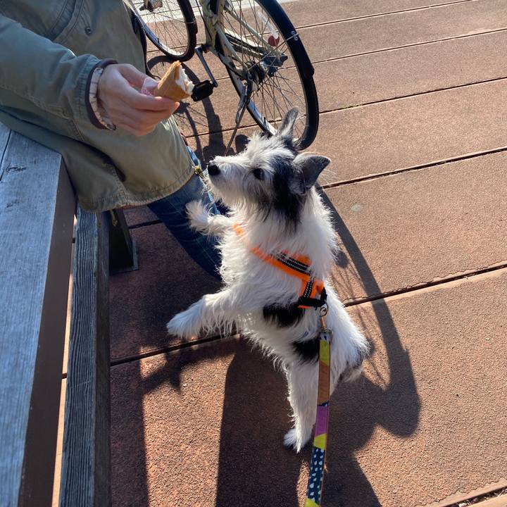 A8d41a04 5052 4d59 9ca8 bd92bf75ec79 1584274717720