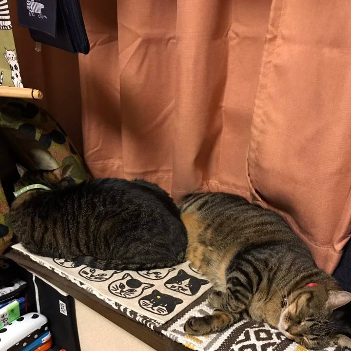 A8d46bdf ab52 4f5f ab08 a59eacfd5fb5 1570629152561