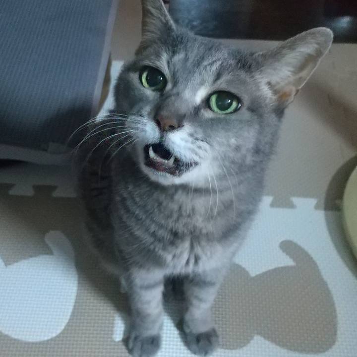 A8d49cf8 5ffd 4f65 a6cc 7add5407beeb 1690930449962