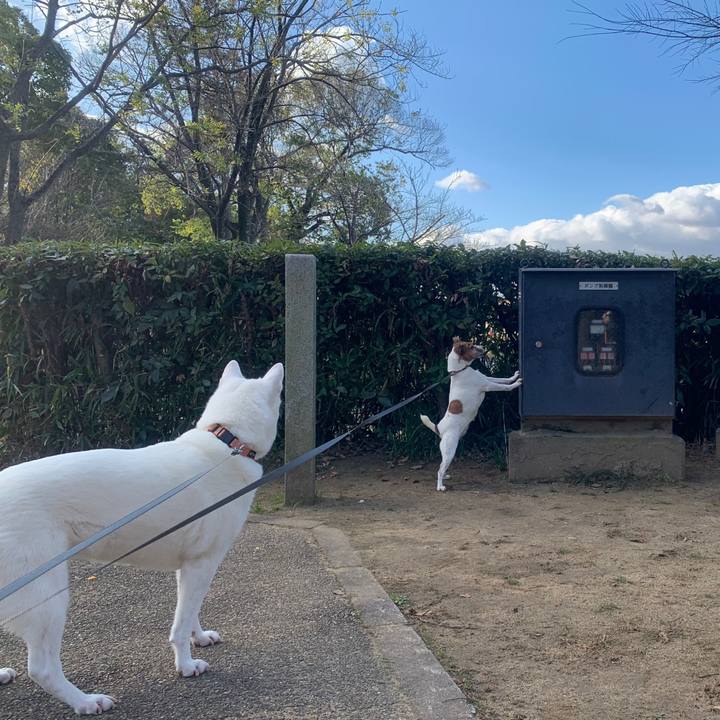 A8d4cd76 15f4 4ee8 9ba9 be81c7149796 1546085874212