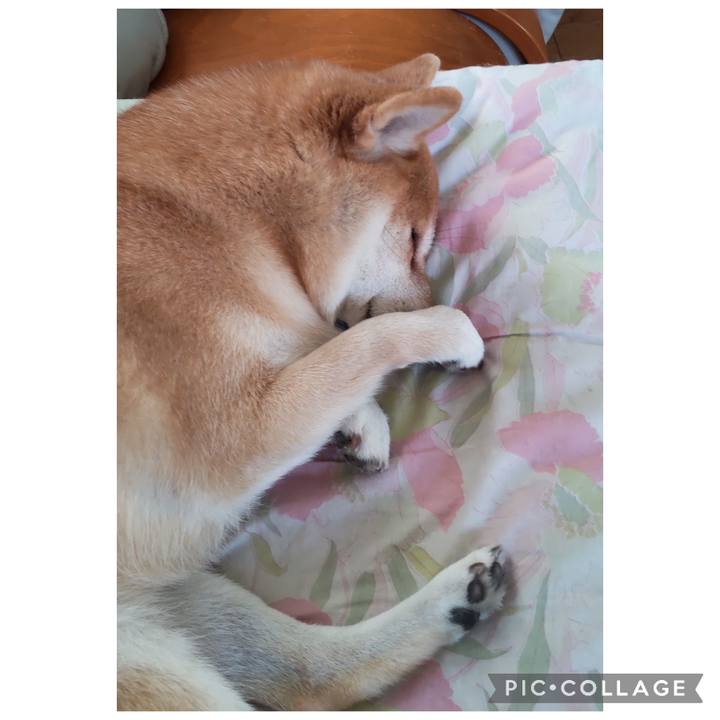 A8d4ed85 01e3 4124 b675 0d0d4b63e299 1761719525310