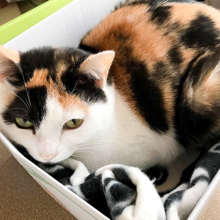 A8d4f991 44b0 4f33 b730 77e8cbced554 1516334078047