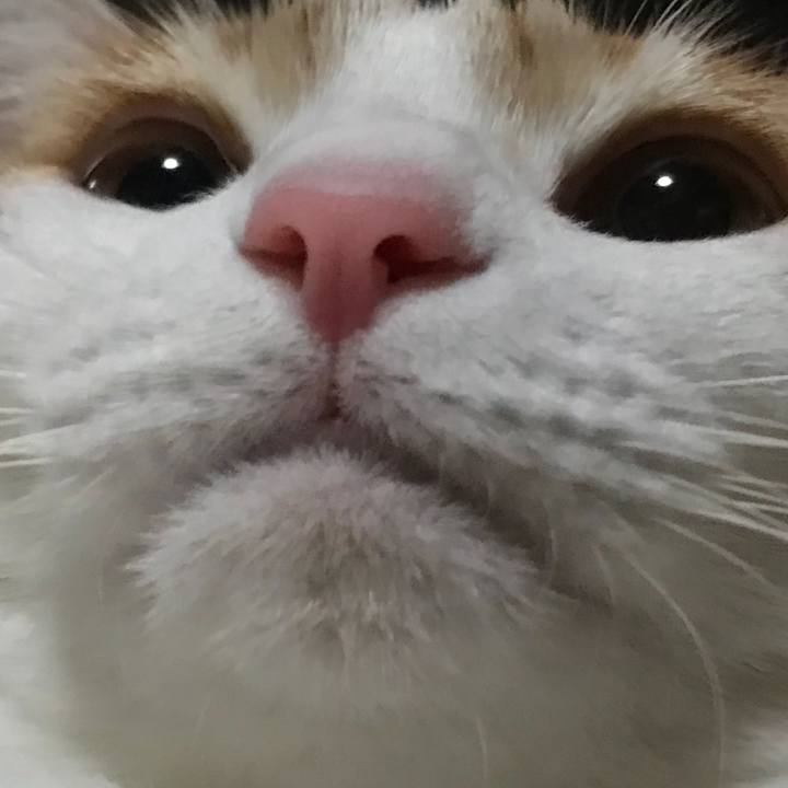A8d515d6 4918 46a8 965d eec6179d0174 1547683616889