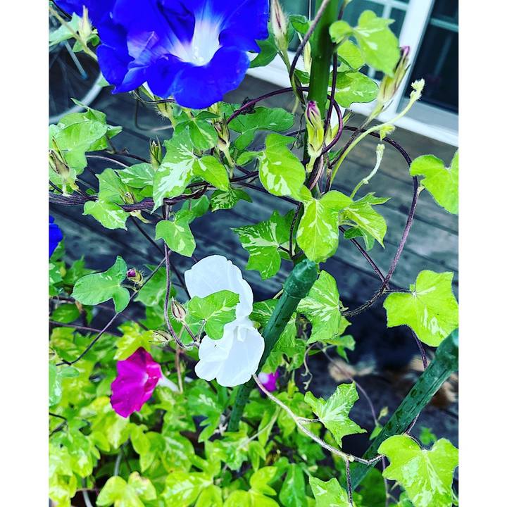 A8d51a9a 7502 4ab0 a5bf 0b16dc8c1e7f 1660857826364