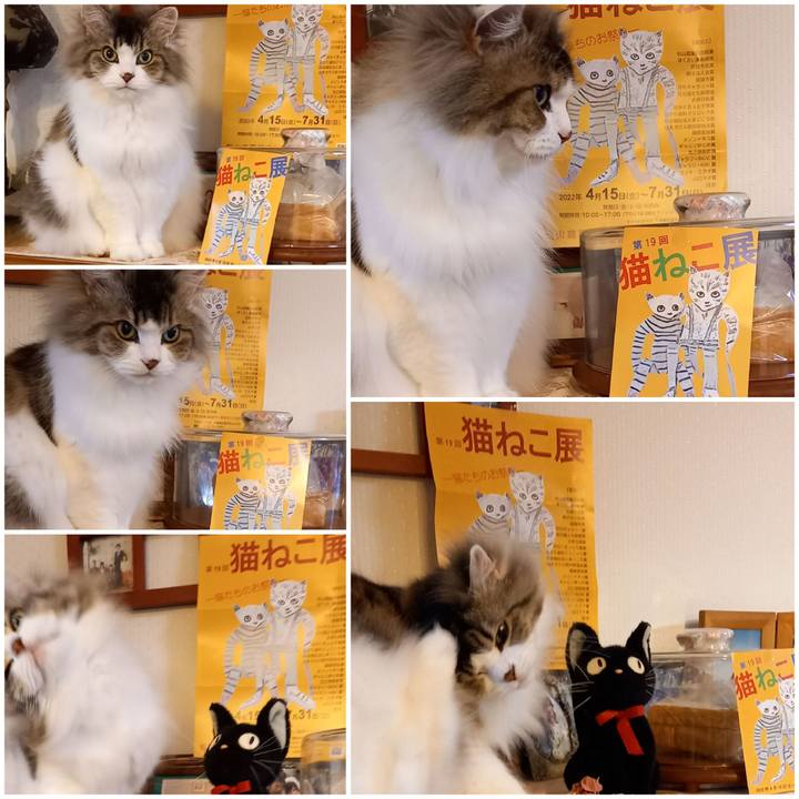 A8d5a240 1d10 4c34 8d4f 9913e5b8fd7b 1649933065333